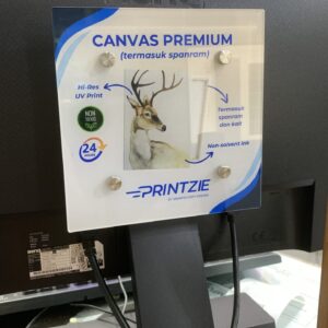 Vesa Display Acrylic